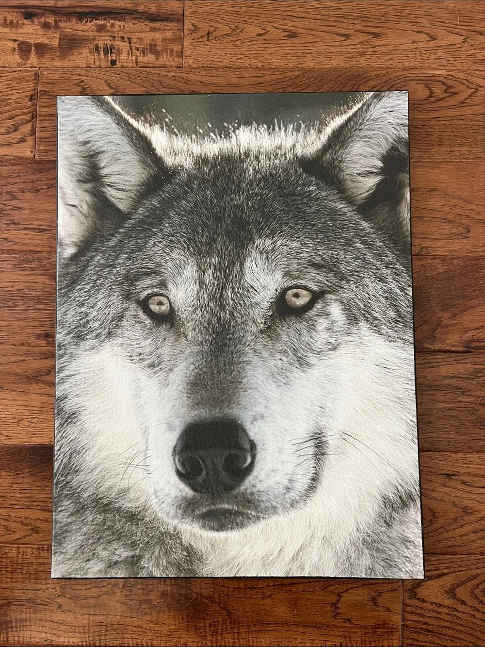 Wolf Canvas Artwork